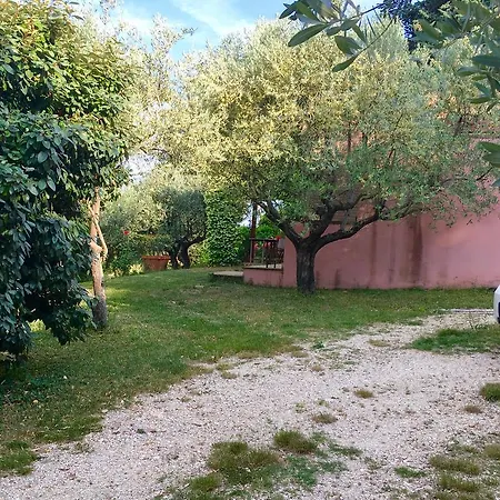 Assisi Villa RandR San Vitale Esterno foto